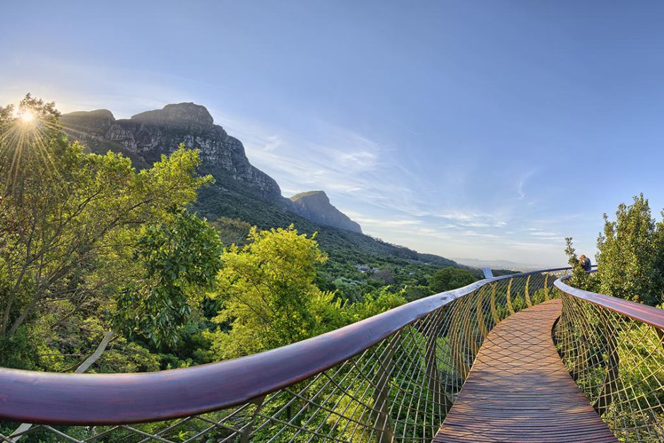 O mundialmente famoso Jardim Kirstenbosch na Cidade do Cabo