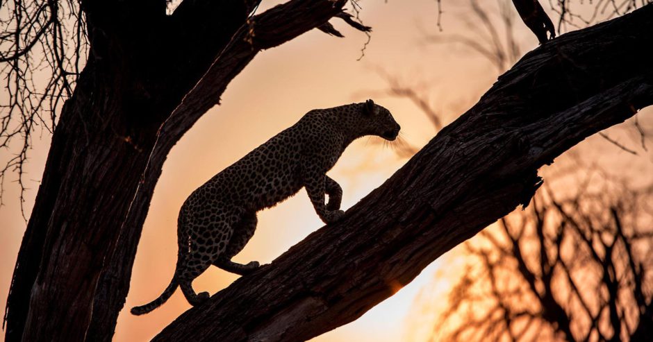 Unsere größte Motivation ist, mit unseren Kunden Momente voller Magie in Afrika zu teilen