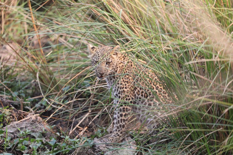 La gran abundancia de vida salvaje y los impresionantes paisajes de Zambia se encuentran entre los mejores de África