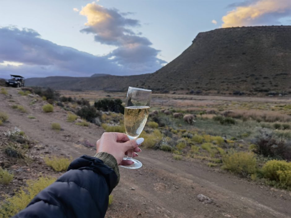 Frau hält Sektglas im Sanbona Wildlife Reserve in die Luft