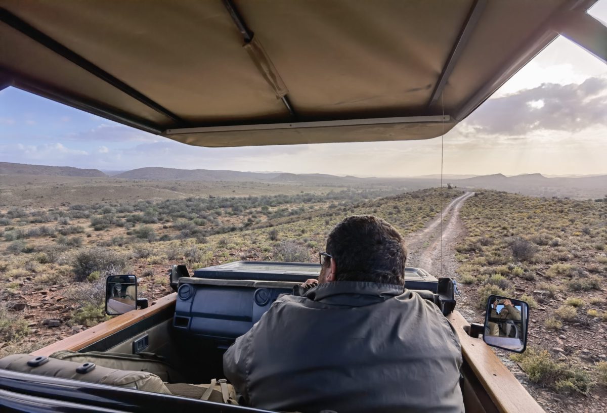 Game drive at Sanbona Wildlife Reserve