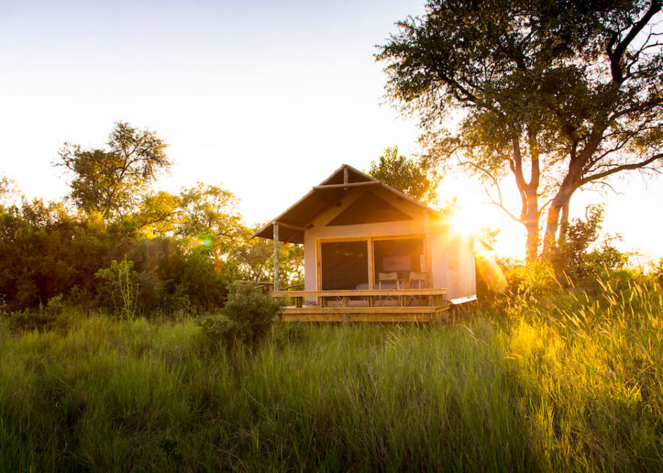 Immergez-vous dans la nature - nos lodges en 2022