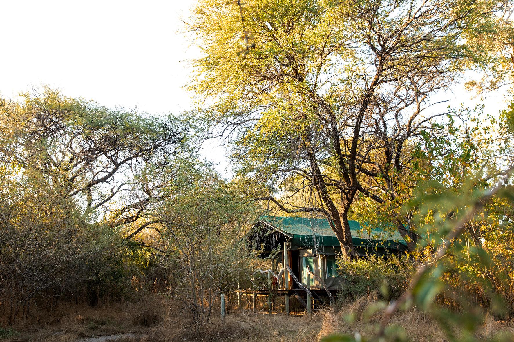 Royal Tree Lodge exterior