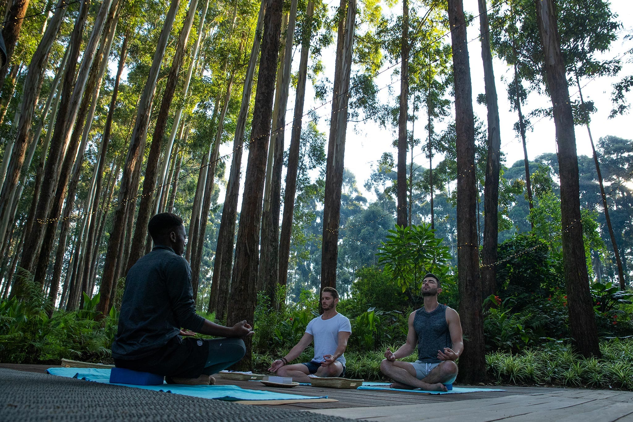 Meditation at Gorilla's Nest in Rwanda