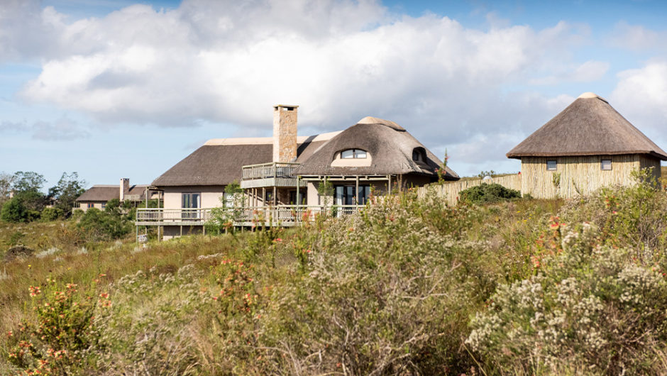 Votre villa Fynbos à Gondwana - un safari en famille en Afrique du Sud