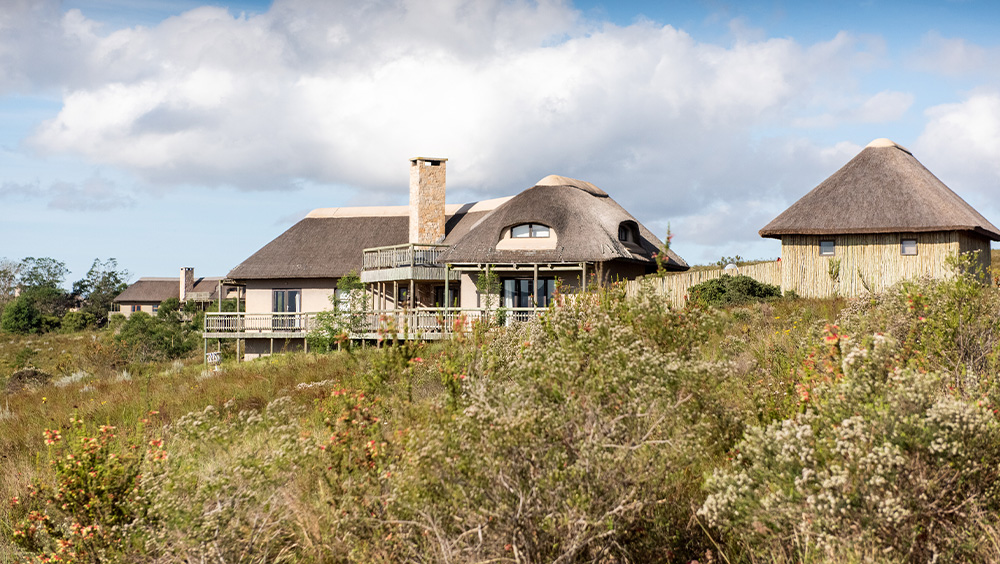 Fynbos villa at Gondwana