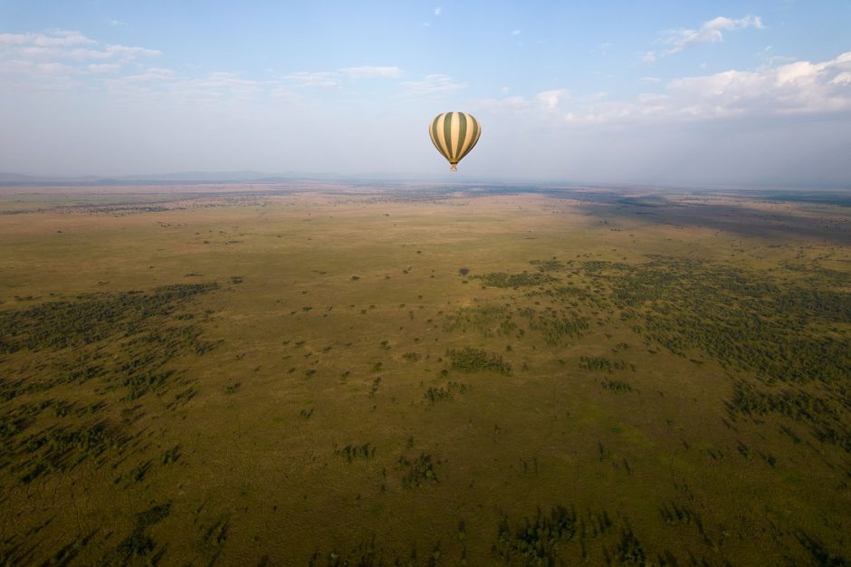 Bird's eye view of the Serengeti plains