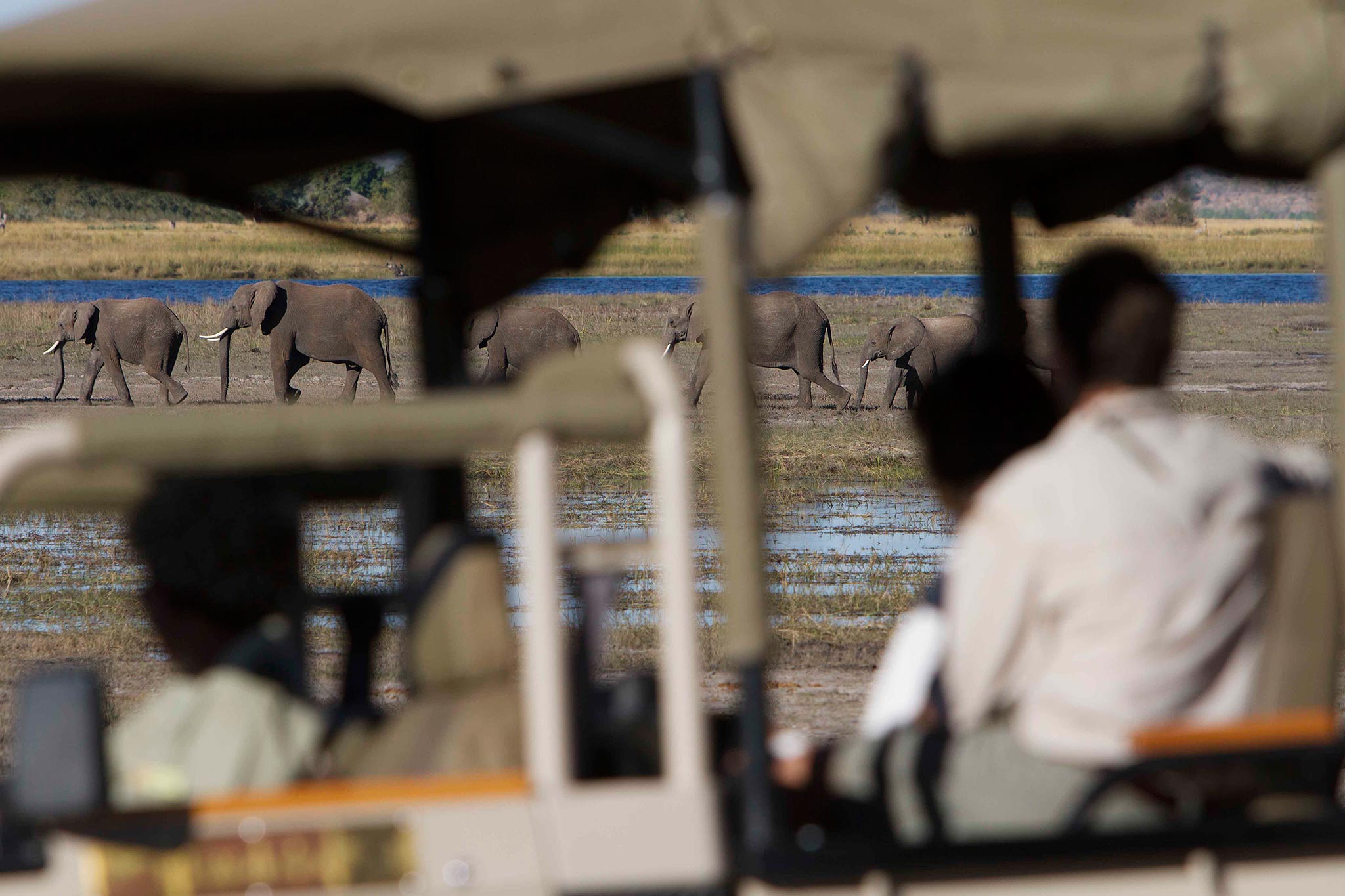 Chobe River elephant safari