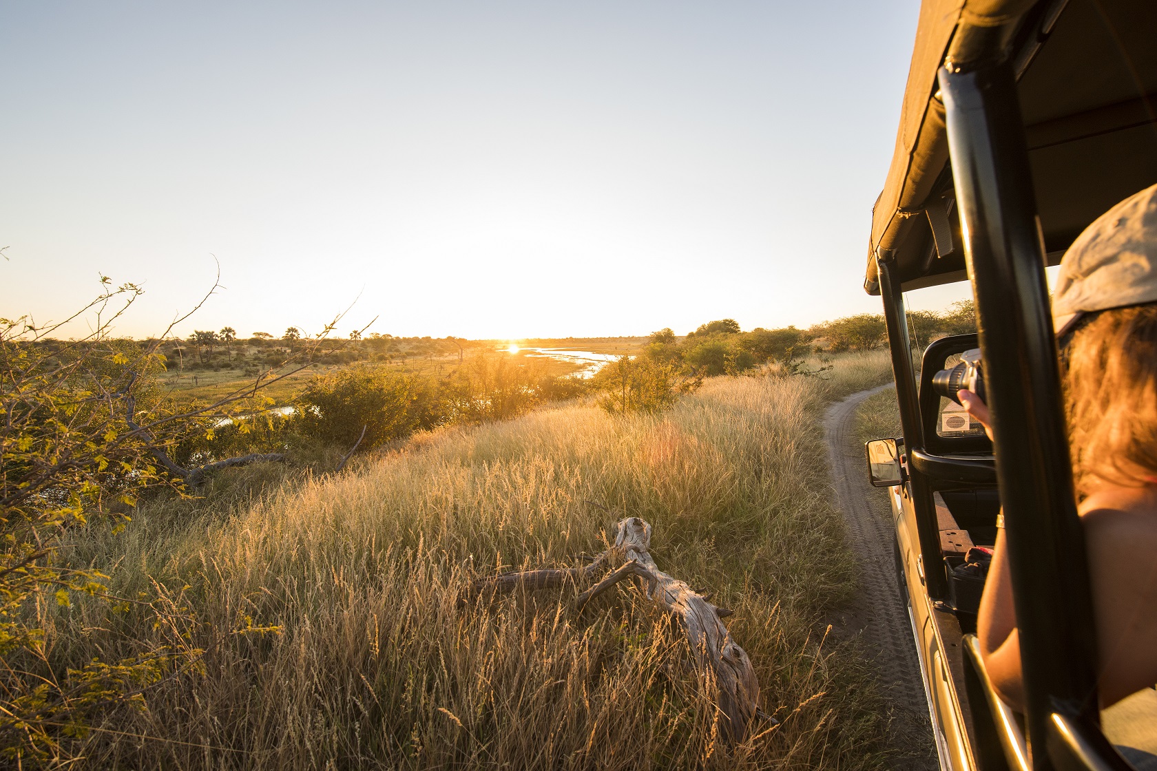 Luxury safaris in Botswana at Moremi are magical