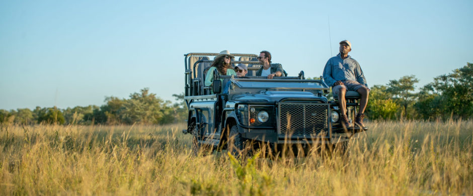 Eine Luxussafari im Sabi Sand Game Reserve