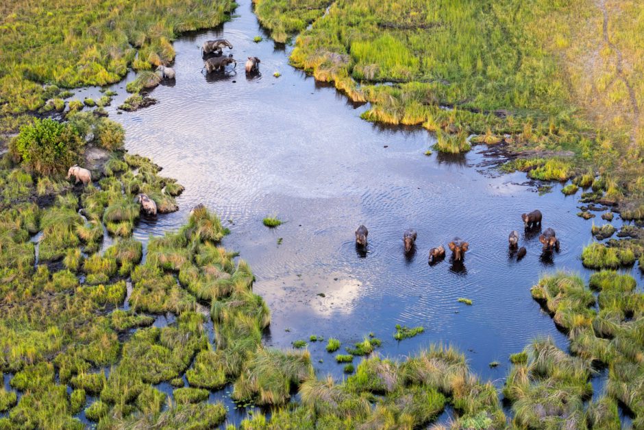 Subir aos céus mostra uma vista incrível do Delta do Okavango