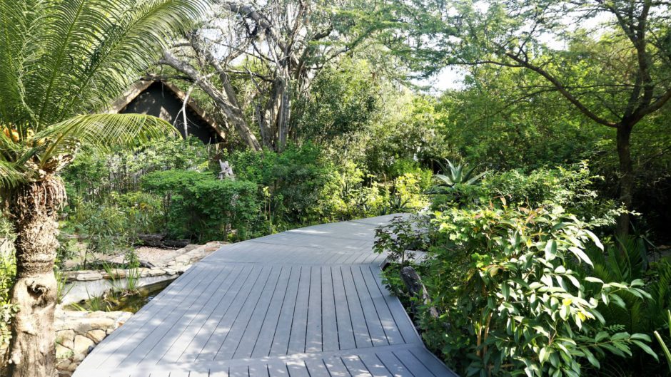 Wooden walkways and fairytale forests at Chitwa Chitwa Game Lodge