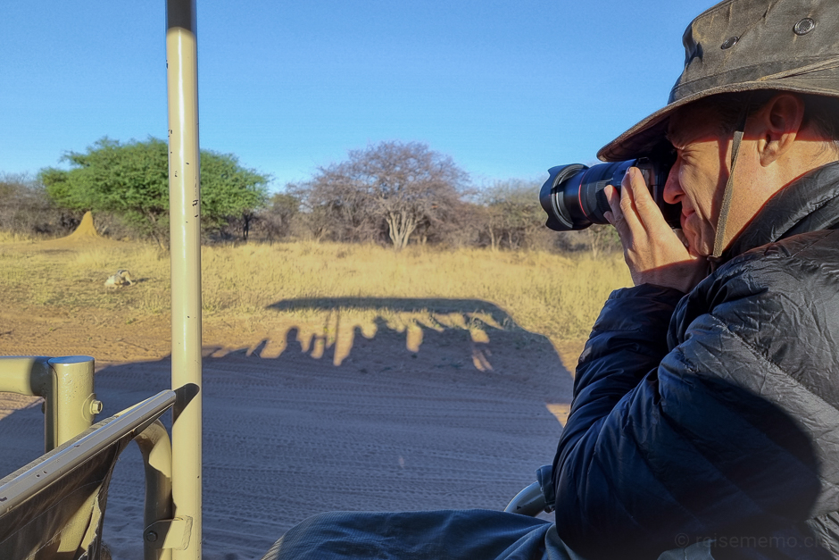 Walter fotografiert junge Schakale in Namibia