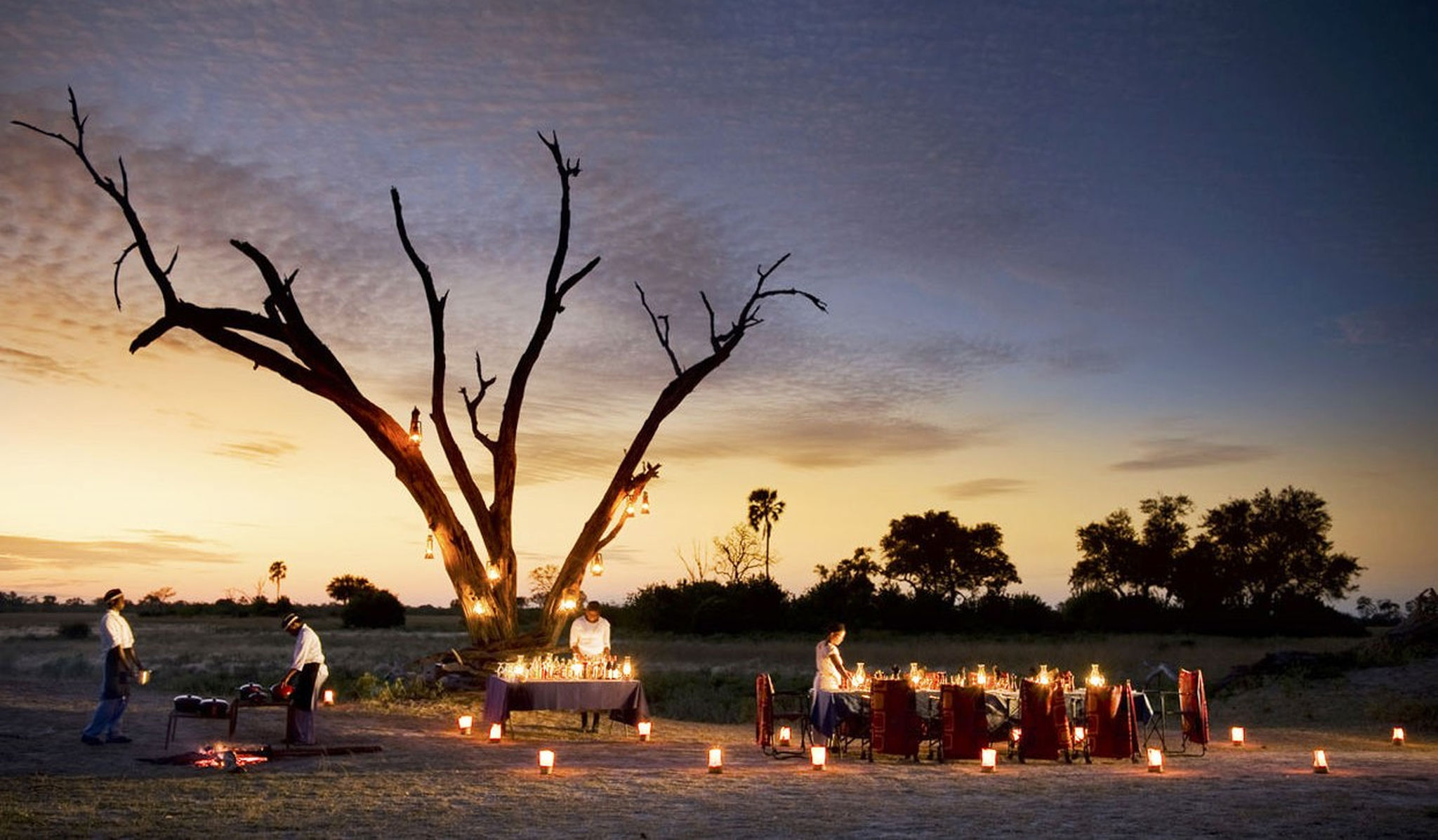 Dining under the stars at Selinda Camp on a luxury safari in Bostwana