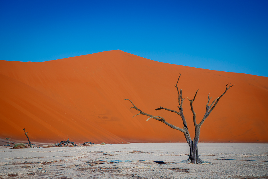 Tote Bäume des Deadvlei