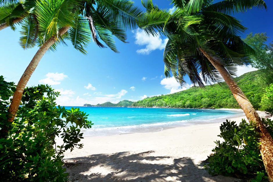 A pristine secluded beach in Mahé