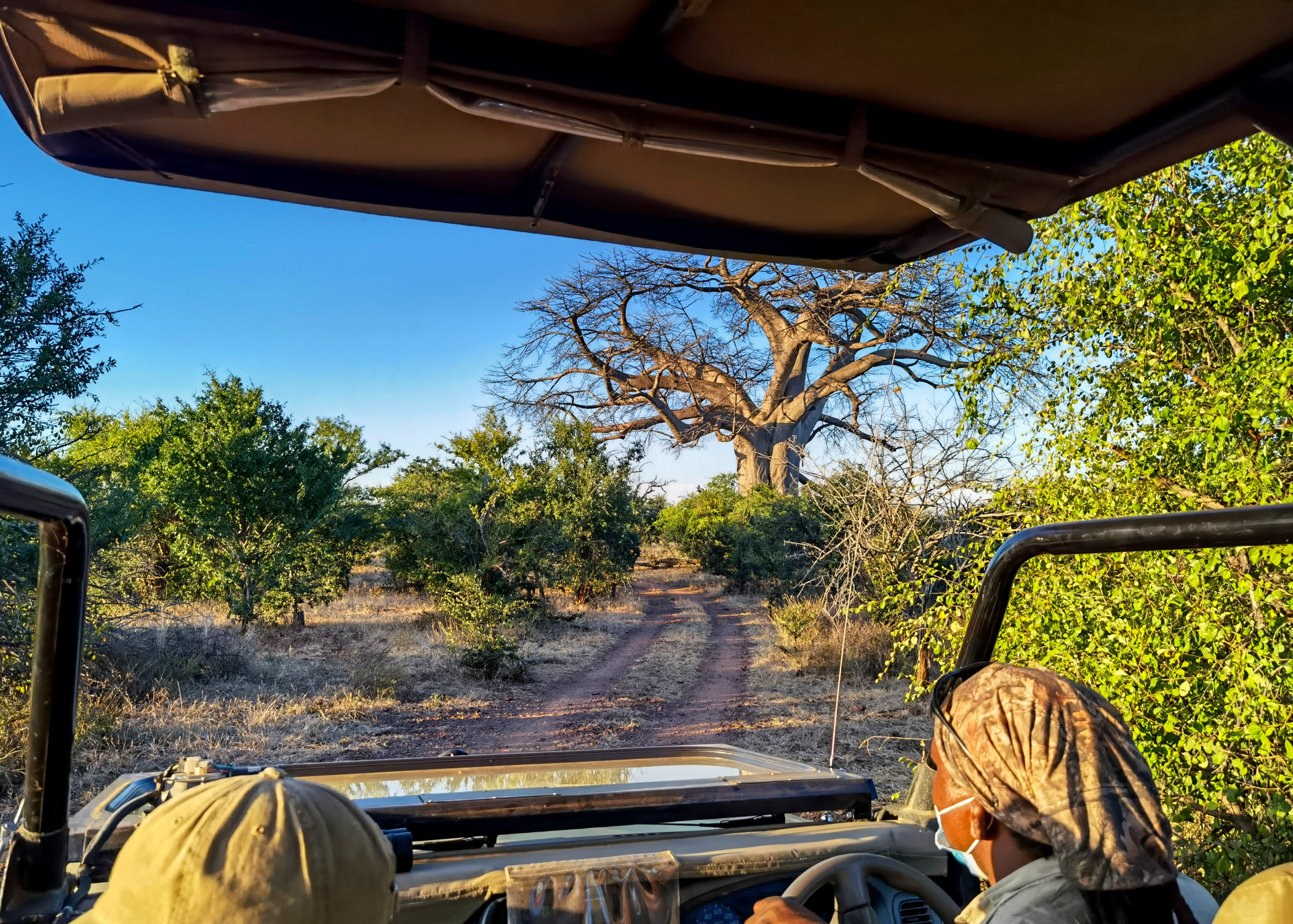 Safari game drive at Old Drift Lodge