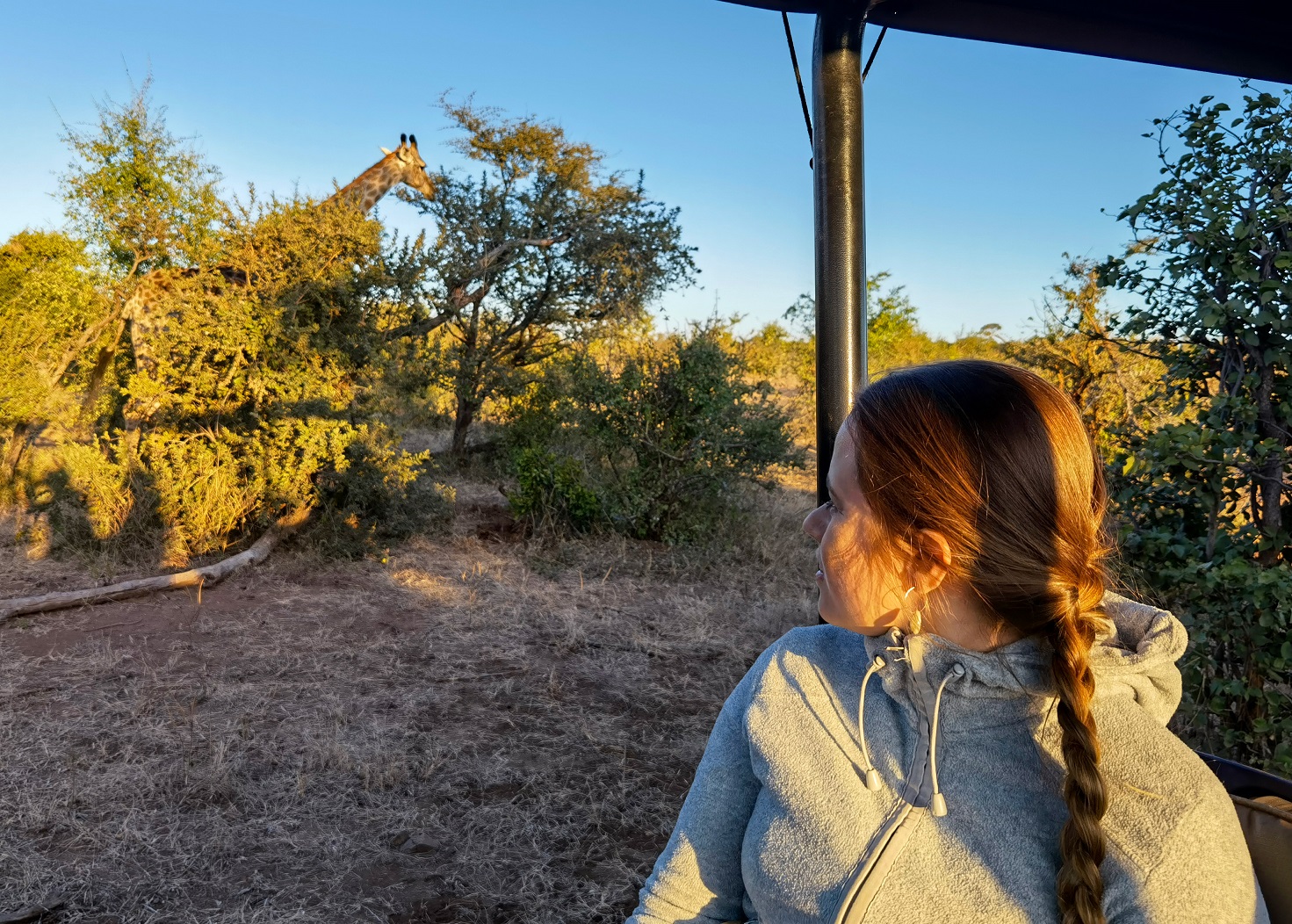 Admiring giraffes on safari at Old Drift Lodge