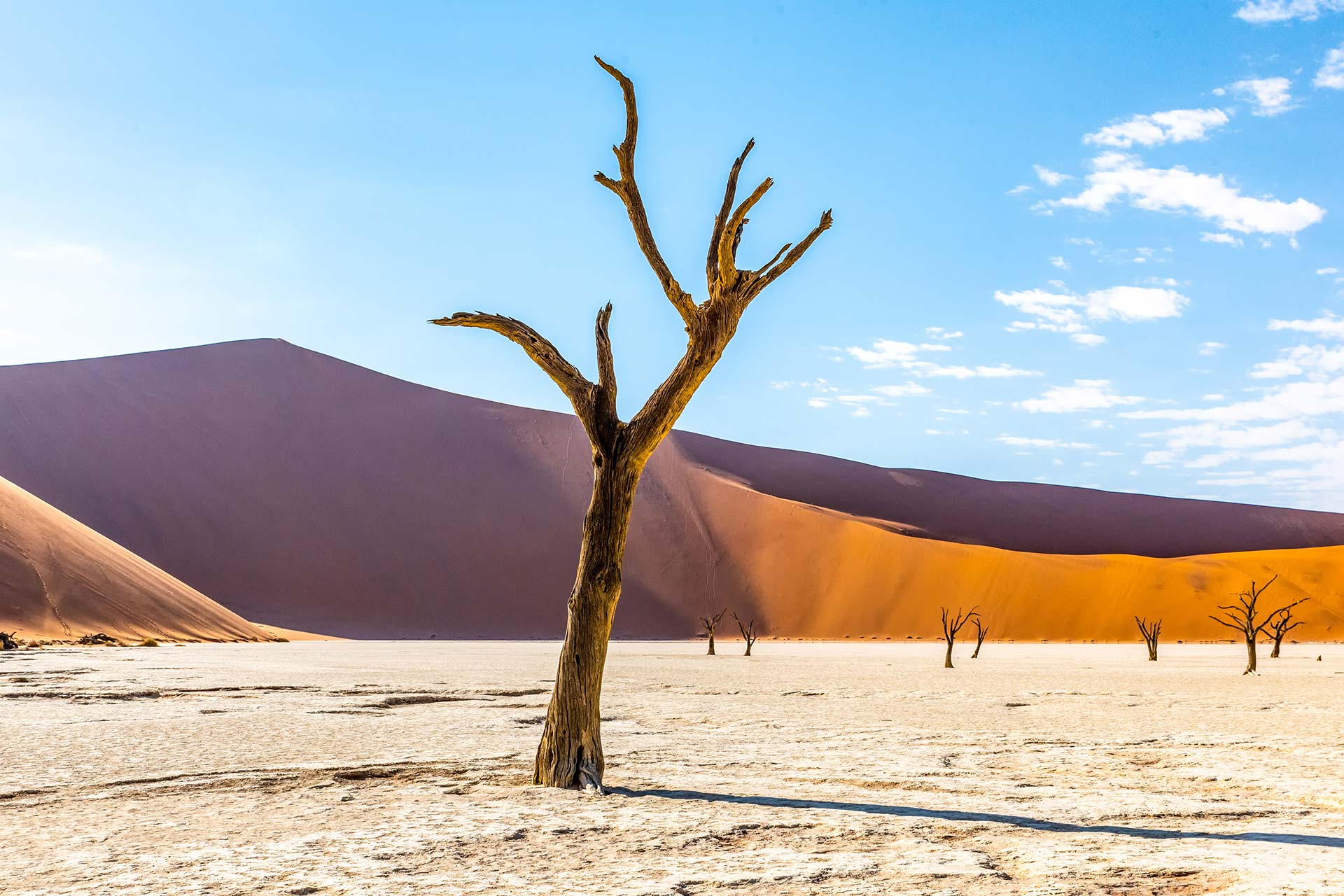 Árvores mortas espalhadas em Deadvlei