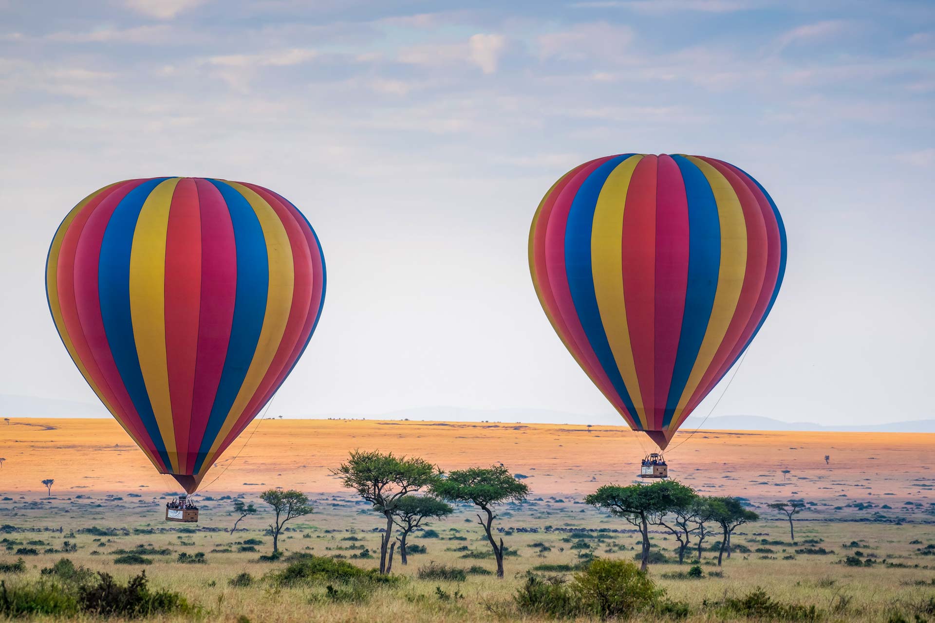 hot air balloon rising above the savannah serengeti national-park