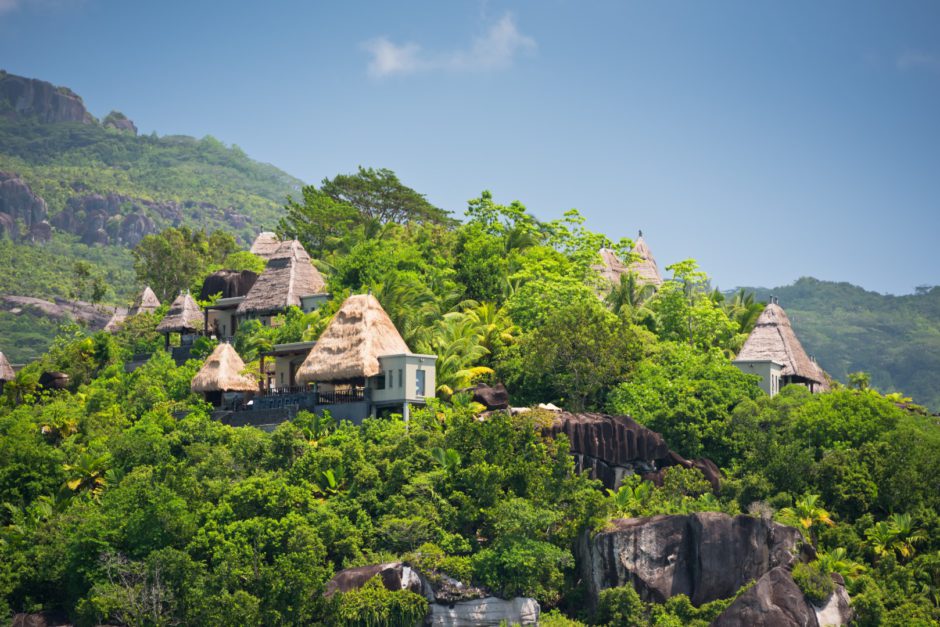 The lush rain forest of the Seychelles