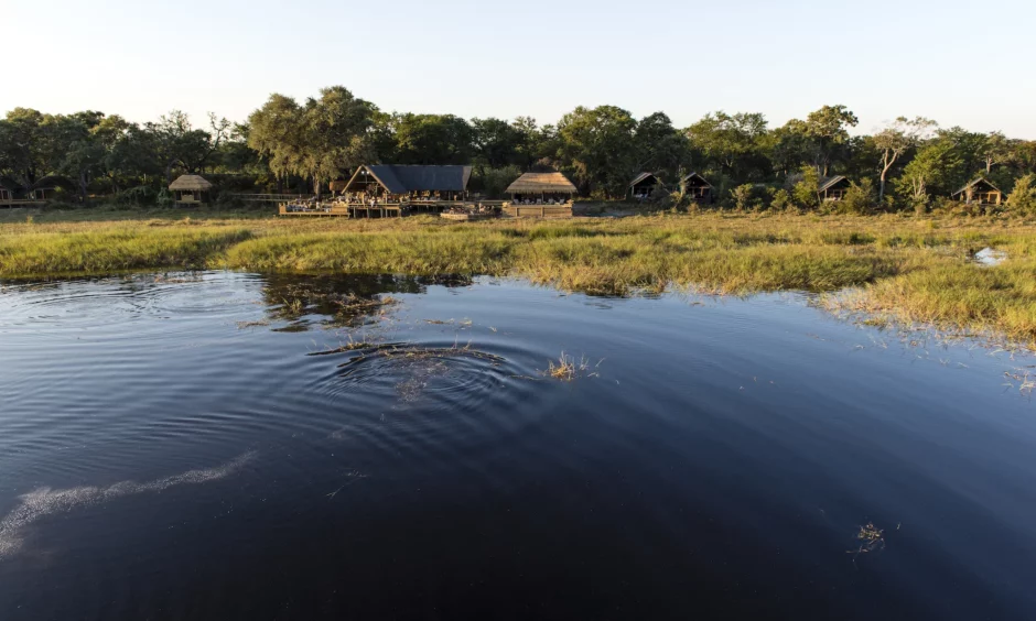 O cenário à beira da lagoa de Sable Alley proporciona uma visão sensacional da vida selvagem