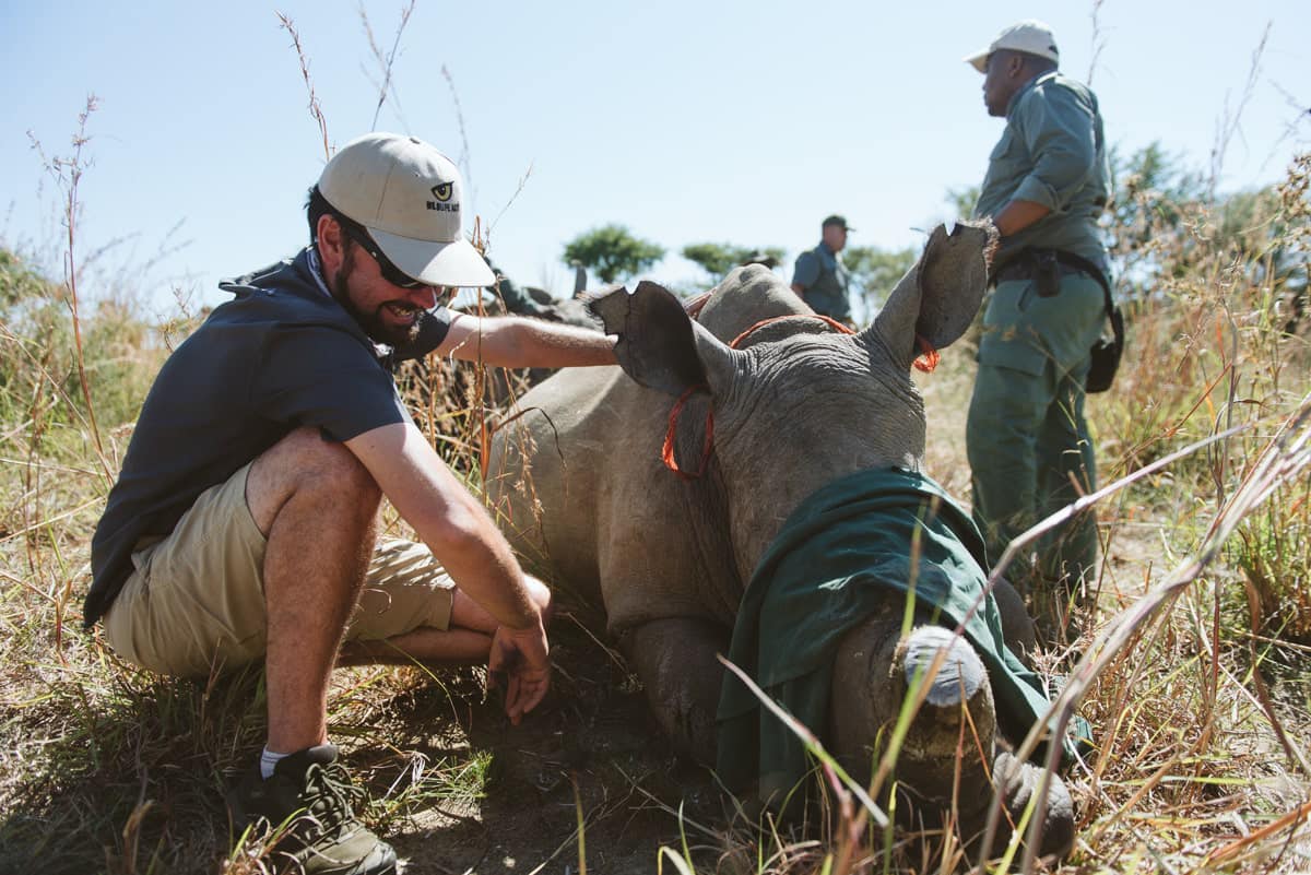 WildlifeACT is a hands-on organisation