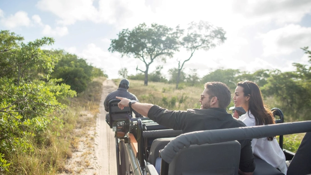 Exclusive game drive in the Sabi Sand