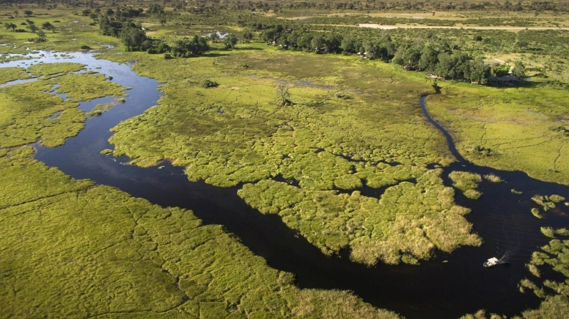 Aerial view of Okavango Delta in Botswana