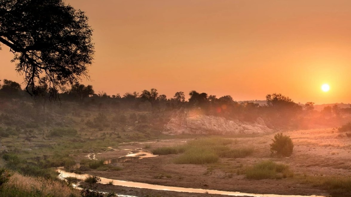 Kruger National Park riverbed at dusk