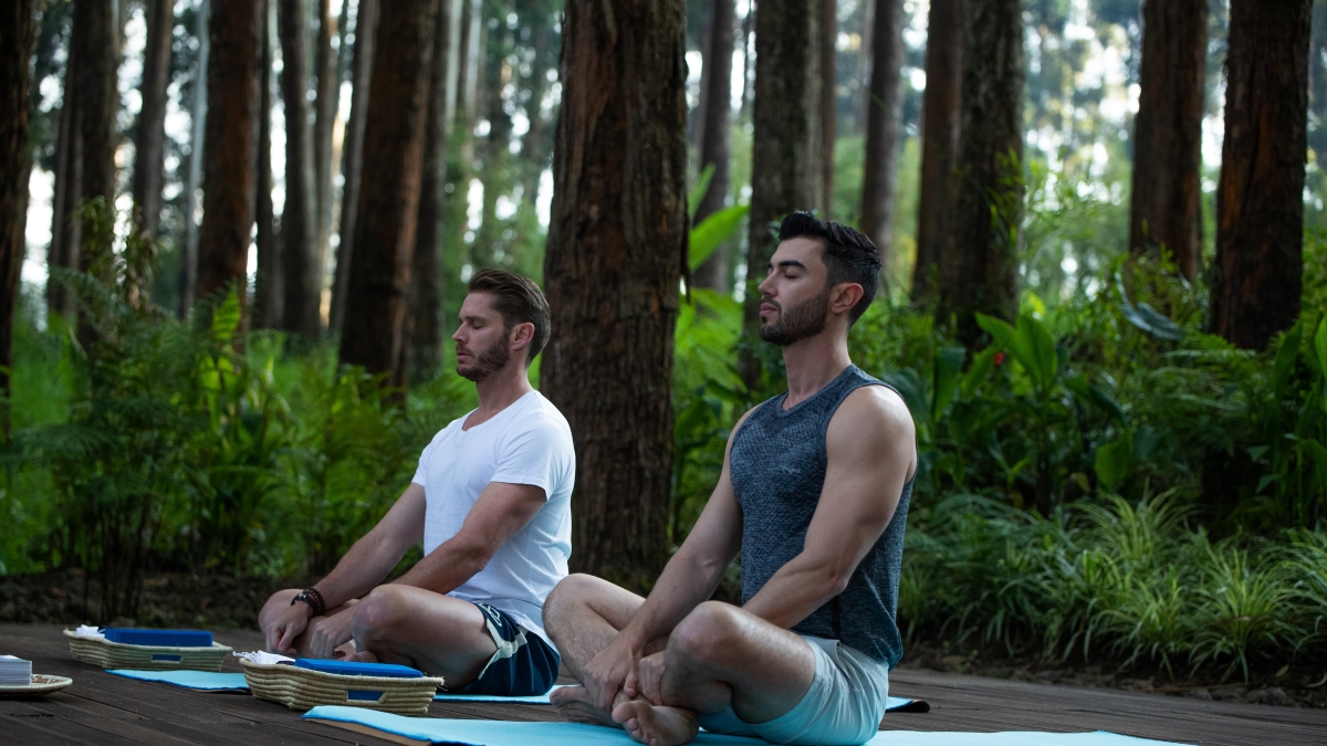 Two men meditating on a wooden platform surrounded by lush forest