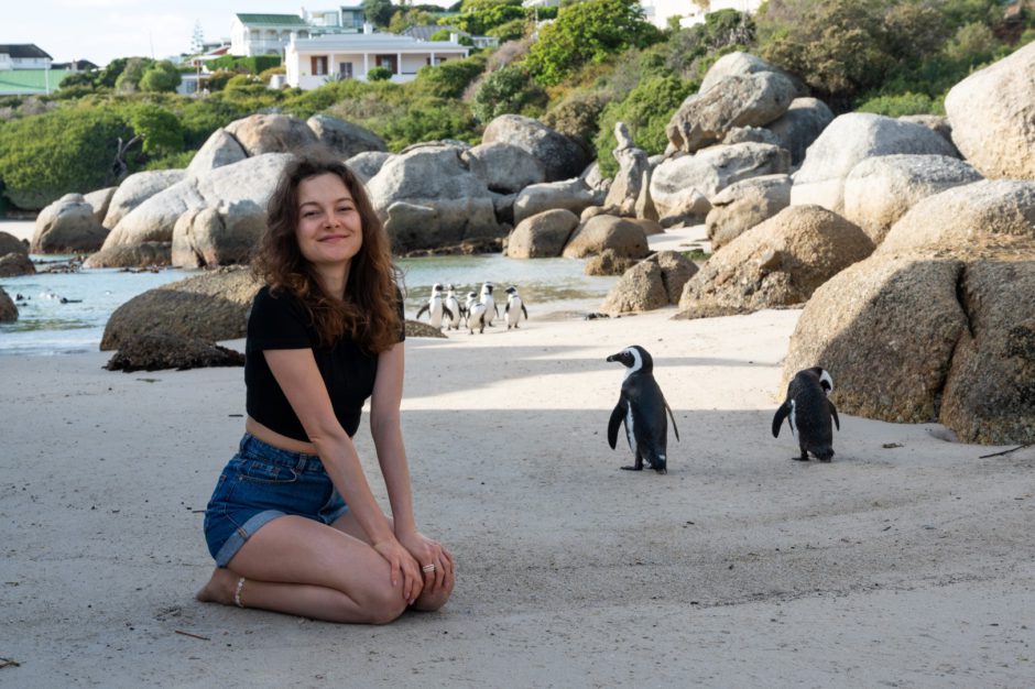 Tire fotos com os pinguins em Boulders Beach