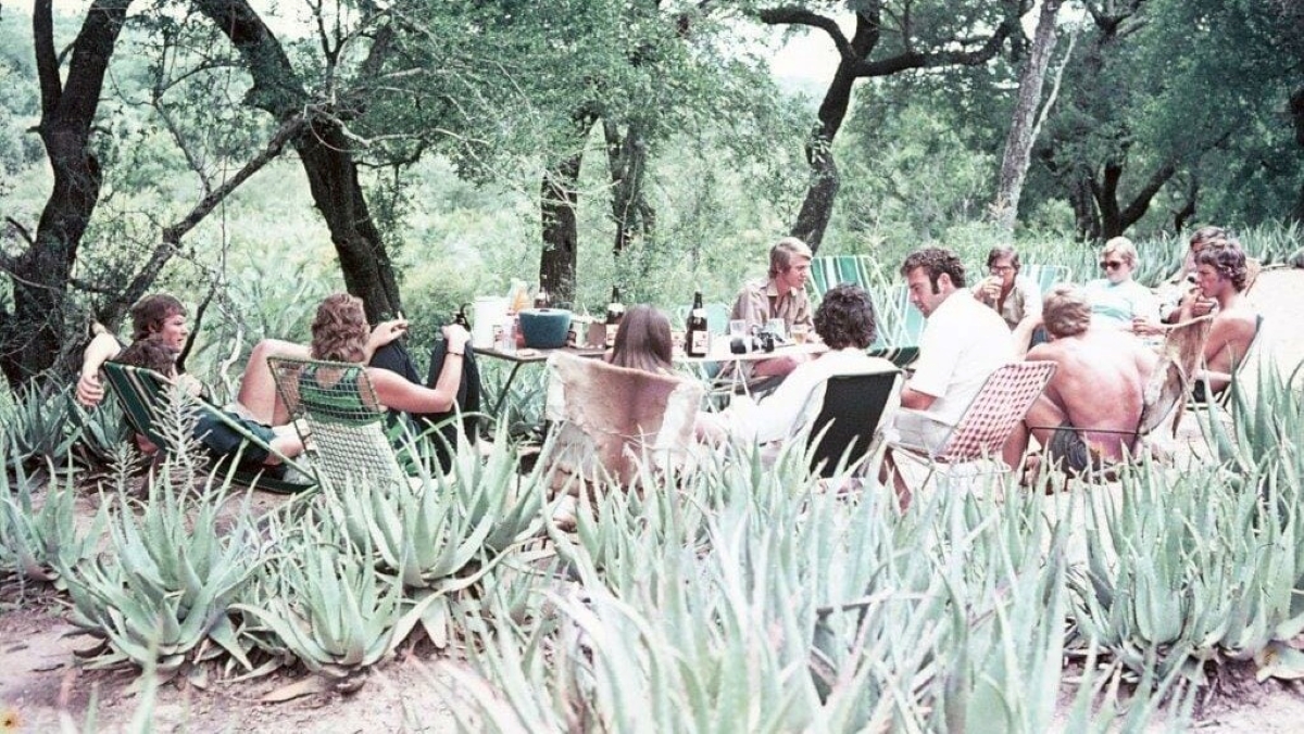 Safari-goers enjoying a simple bush tea amidst an aloe garden