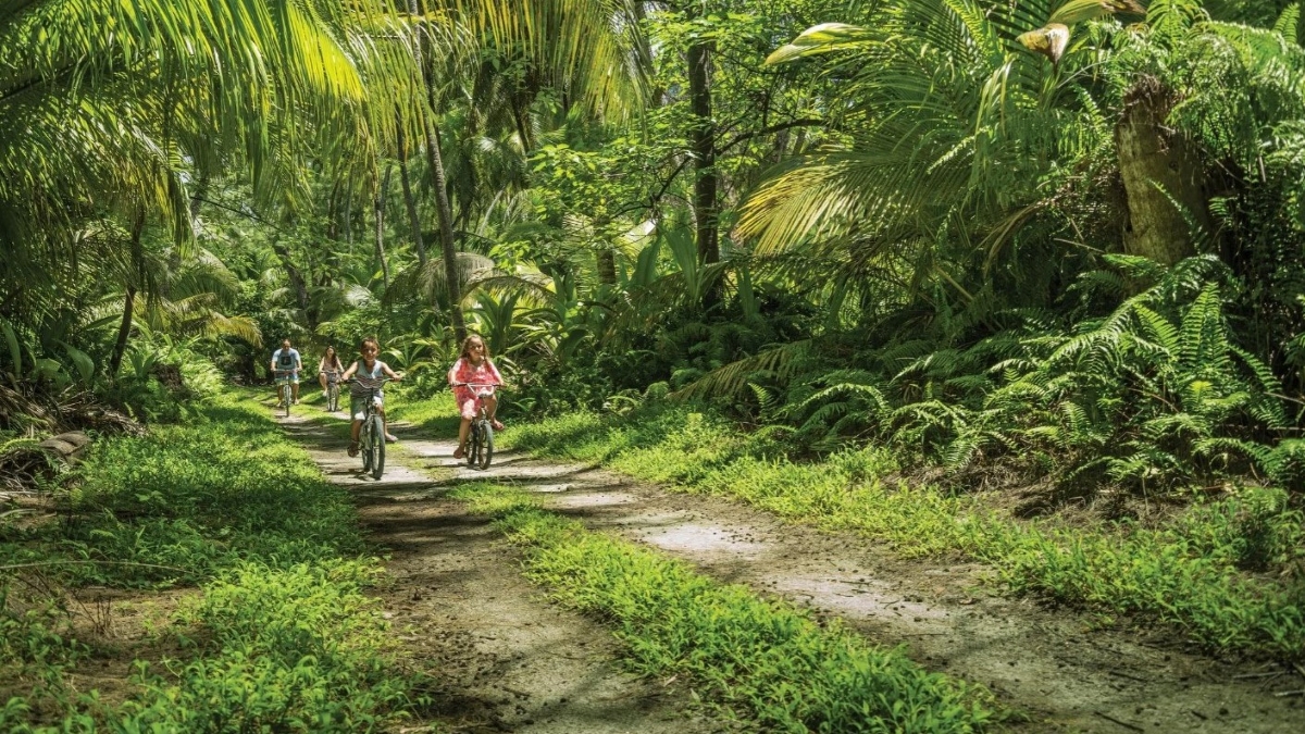 children cycling through lush forest