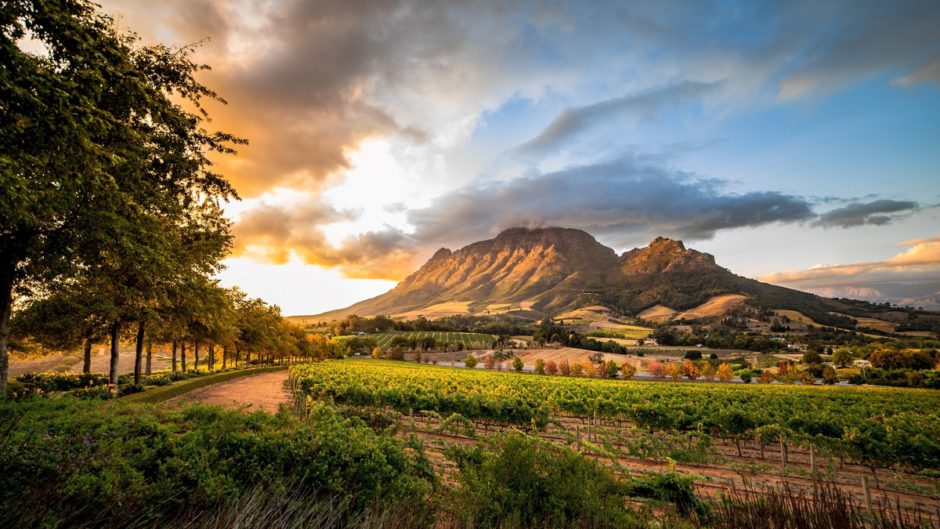 Das romantische Kap-Weinland in Südafrika ist der perfekte Ort für eine Verlobung in Afrika