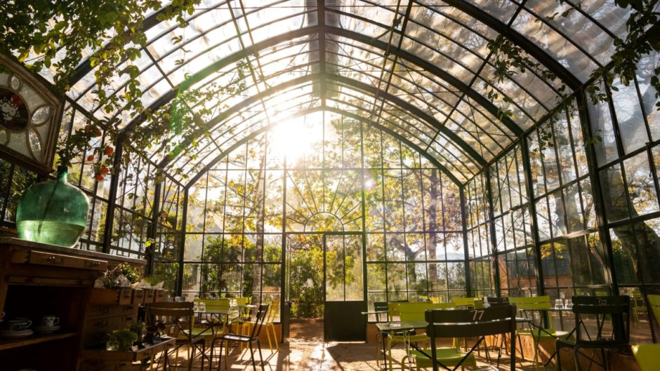 Greenhouse auf der Bio-Farm Babylonstoren bei Franschhoek