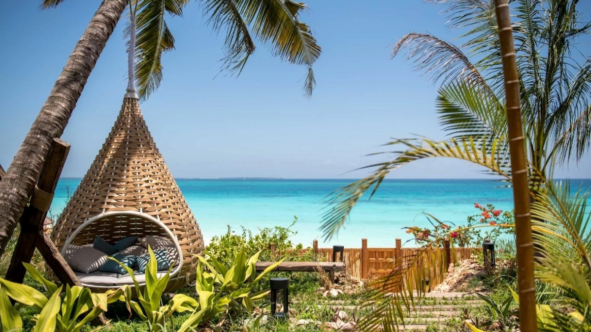 Nest chair along the beach