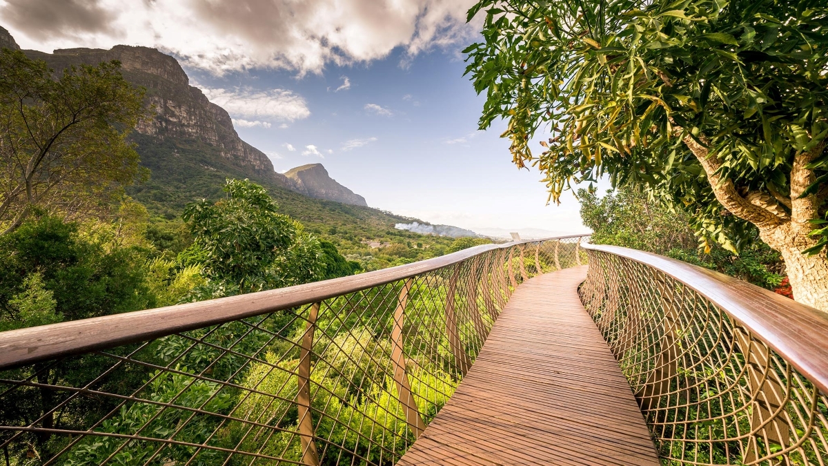 Pasarela de dosel Boomslang en el Jardín Botánico Nacional Kirstenbosch