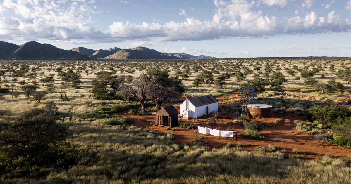 Klein Jan in Tswalu 