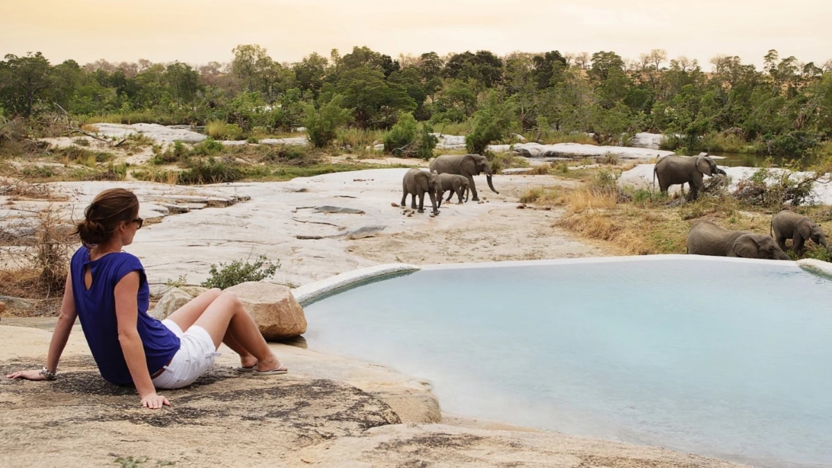 Person viewing elephants from afar