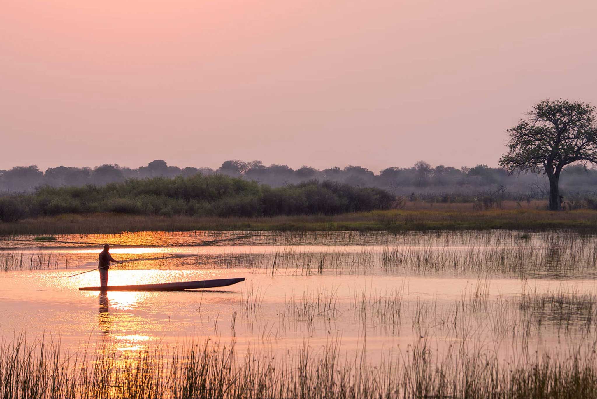 Sunset mokoro ride over the Okavango Delta