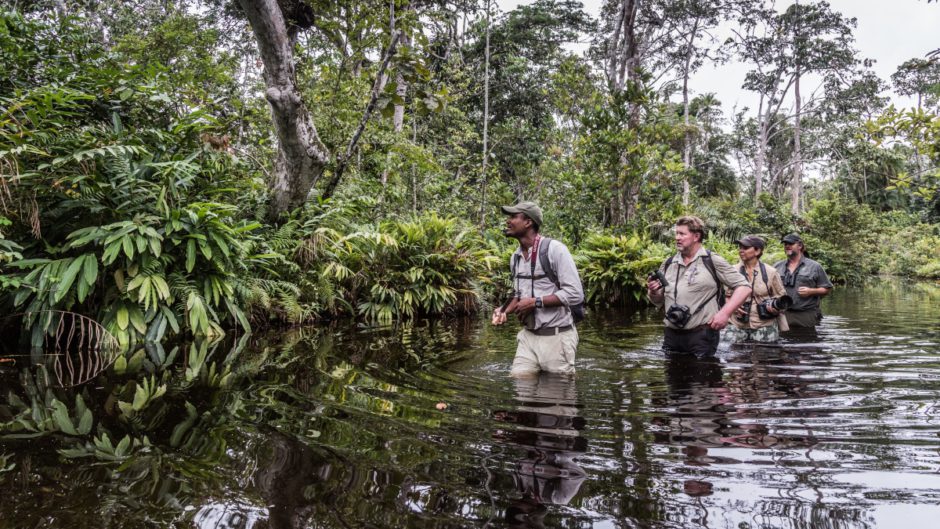 Une des meilleures destinations africaines: Un lieu d’une biodiversité éblouissante