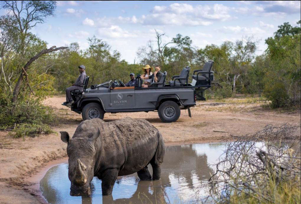 Rhino on safari at Silvan Safari