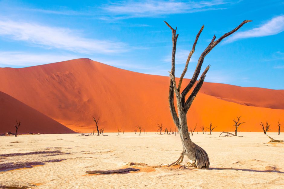 Nous adorons visiter Sossusvlei dans le désert du Namib