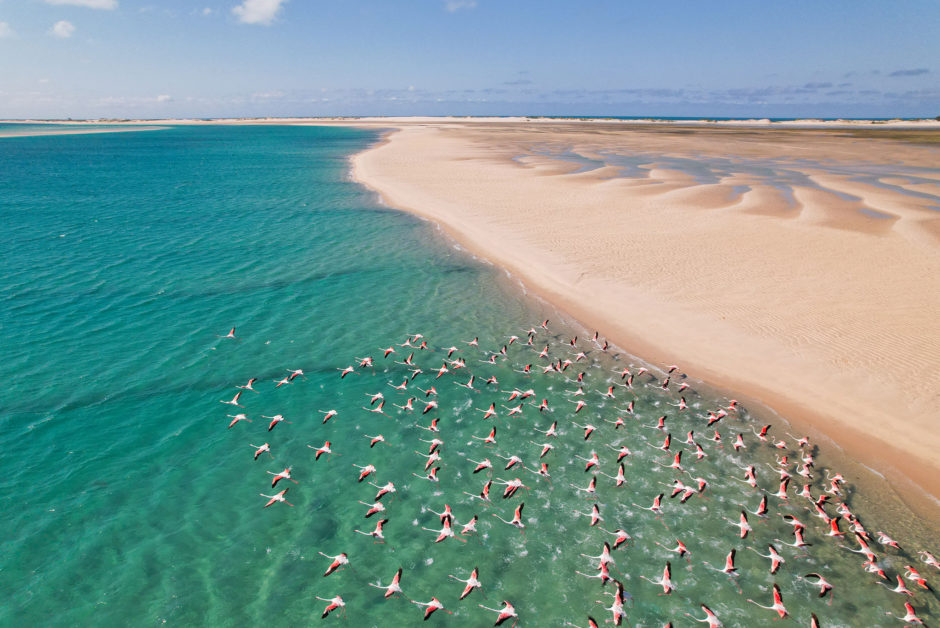 Sandstrand und Flamingos an der Küste von Mosambik