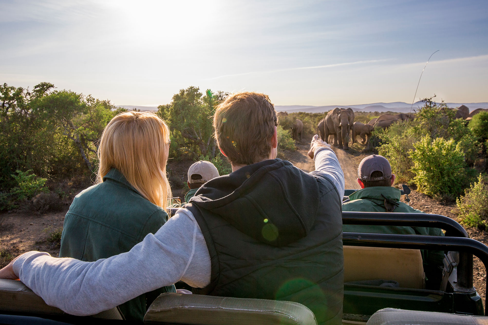 safari vehicle game drive kwandwee south africa