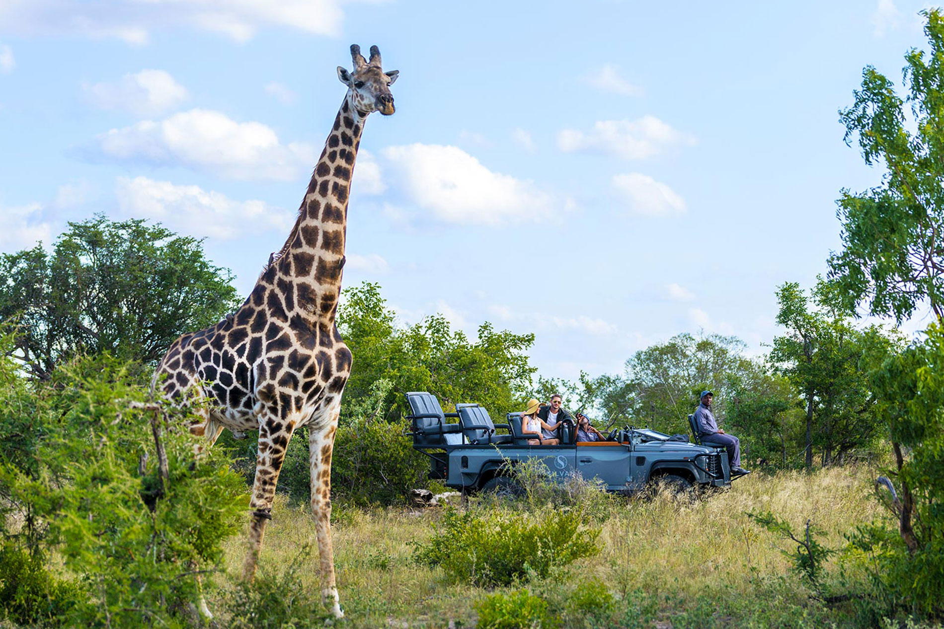 Game drive on city and safari tours in Kruger