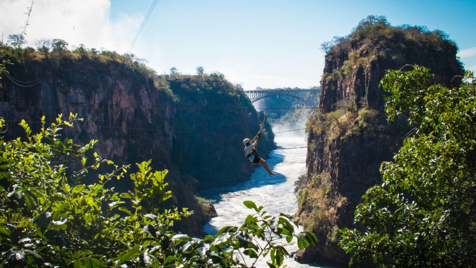 Observe el bosque ribereño y las cataratas desde una variedad de puntos de vista diferentes