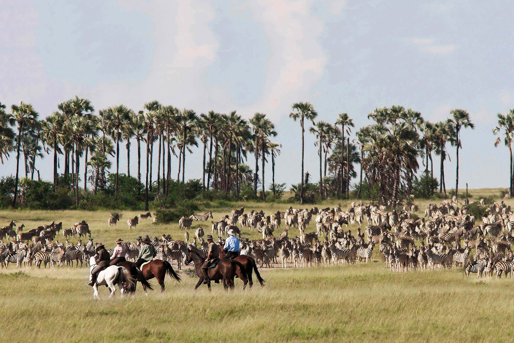 The perfect horseback safari experience in Botswana