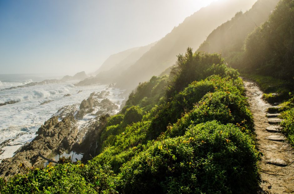 Tsitsikamma Nationalpark an der Garden Route, die beliebteste Selbstfahrer-Route in Südafrika